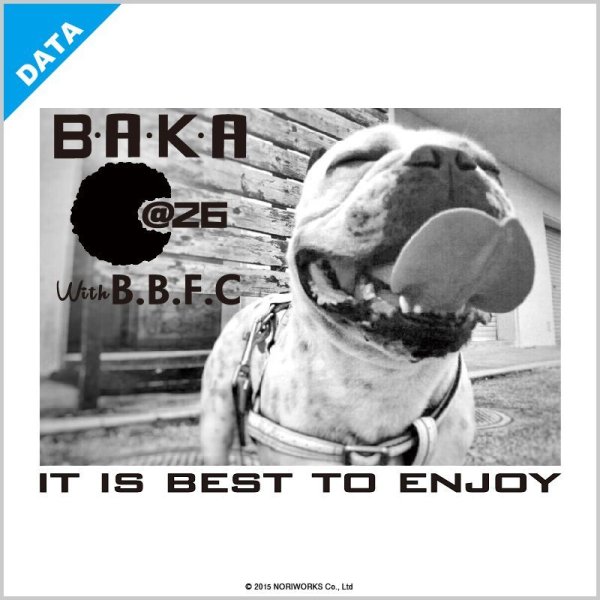 画像8: [United Athle]ユナイテッドアスレ　5.0oz Ｔシャツ [5401]