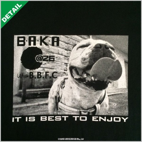 画像3: [United Athle]ユナイテッドアスレ　5.0oz Ｔシャツ [5401]