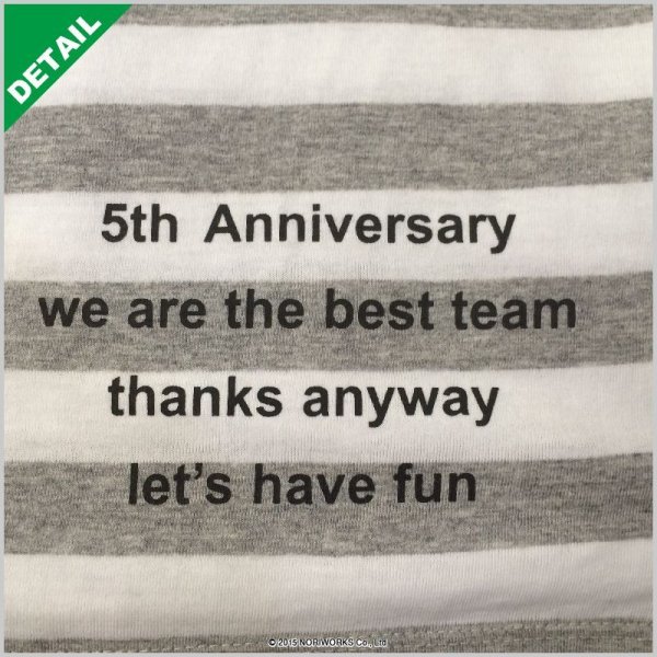 画像5: [TRUSS]トラス　4.3oz ボーダーTシャツ[SBT-125]